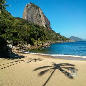 Regiões Atendidas 15 15