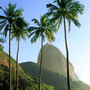 Regiões Atendidas 3 3